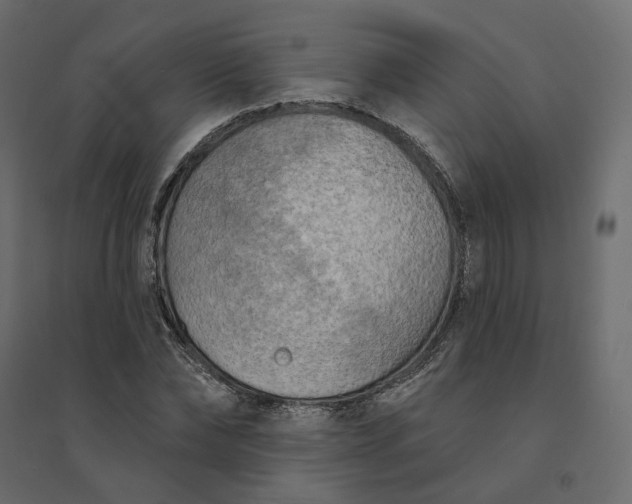 X0000094420878200711211408