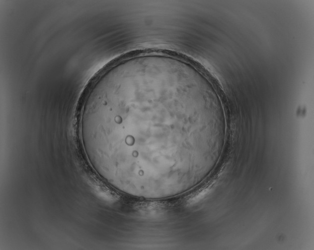 X0000094420879200711211408