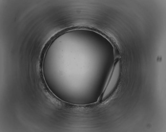 X0000094420880200711211408