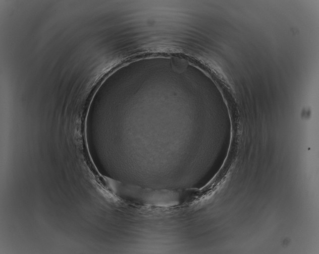 X0000094420881200711211408