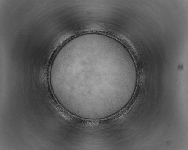 X0000094420882200711211408