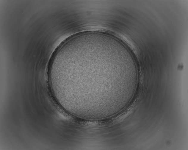 X0000094420883200711211408