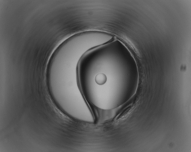 X0000094420884200711211408