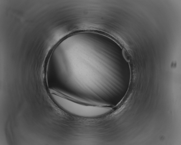 X0000094420885200711211408