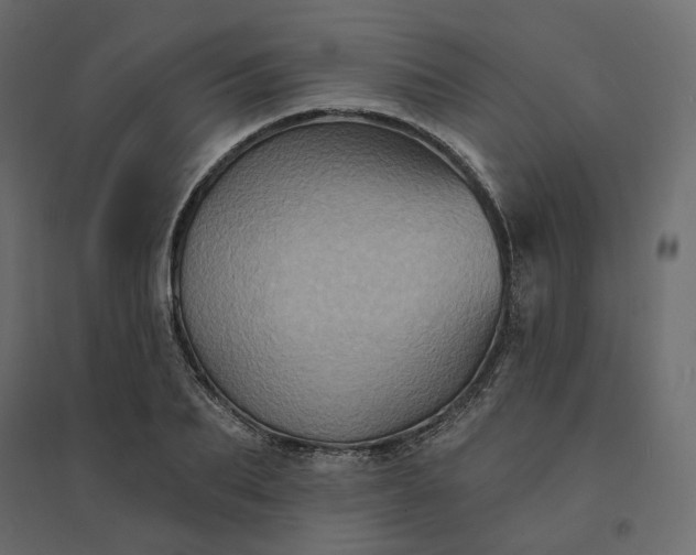 X0000094420887200711211408