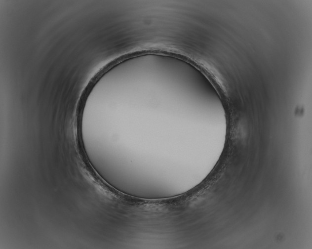 X0000094420888200711211408