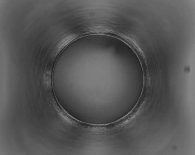X0000094420889200711211408