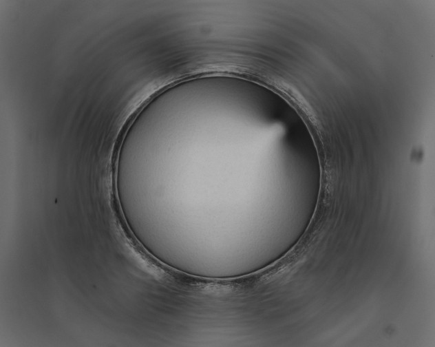 X0000094420890200711211408
