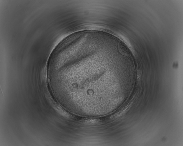 X0000094420891200711211408