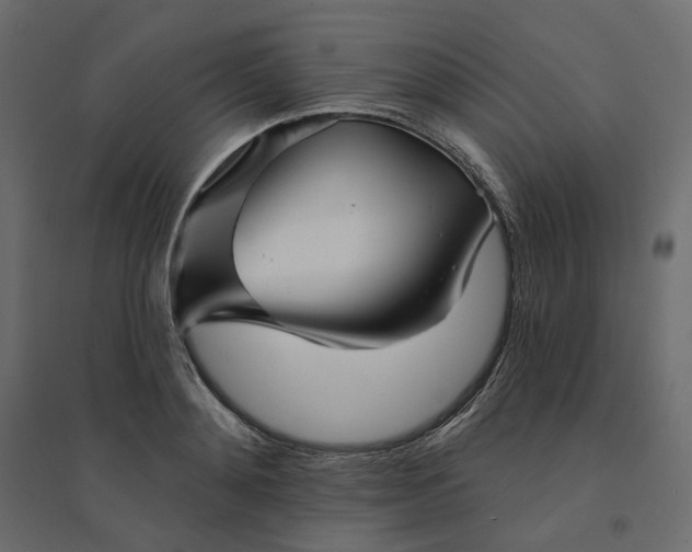X0000094420892200711211408