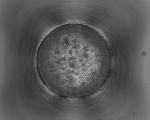 X0000094420895200711211408