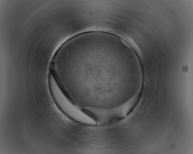 X0000094420896200711211408