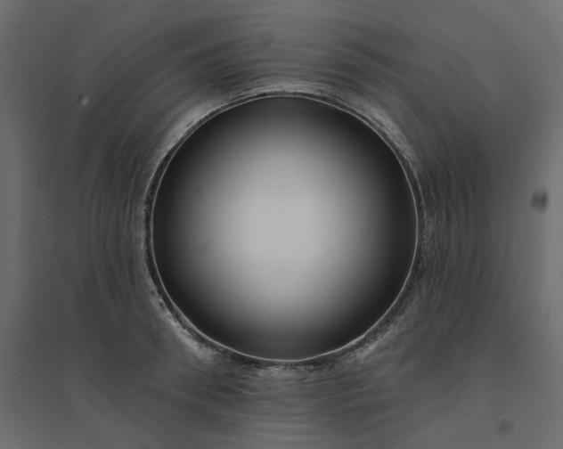 X0000094420898200711211408