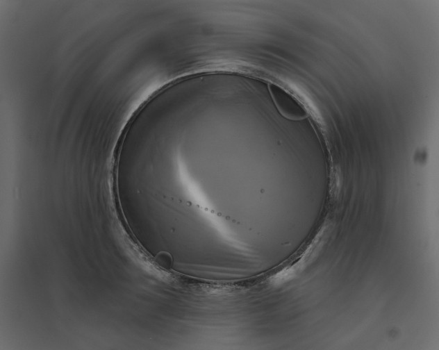 X0000094420899200711211408