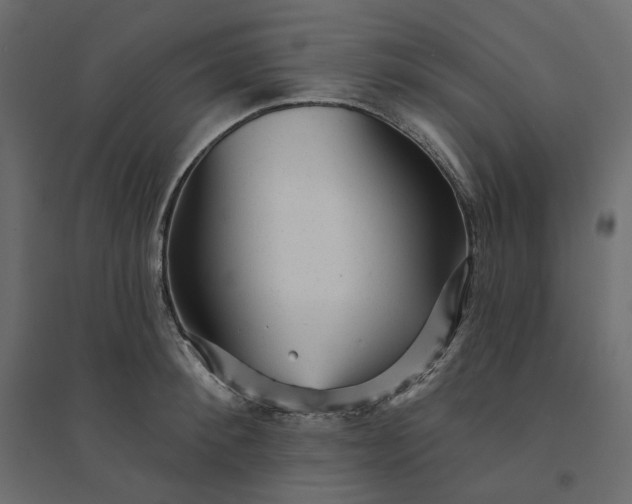 X0000094420900200711211408