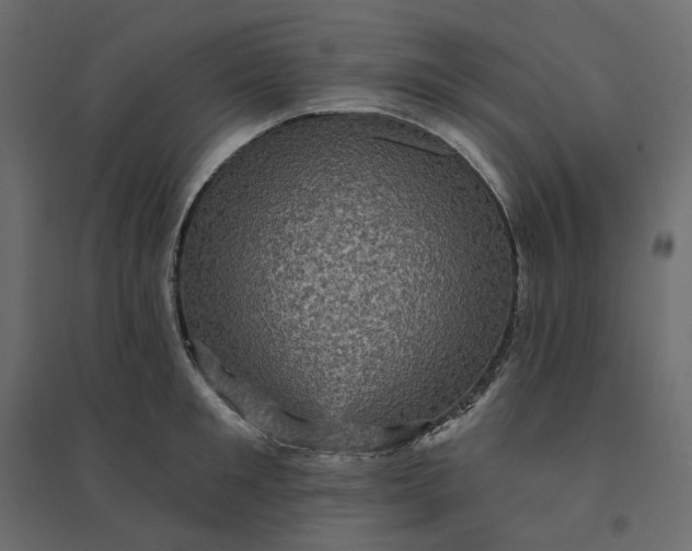 X0000094420901200711211408