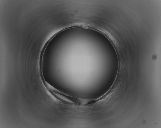 X0000094420902200711211408