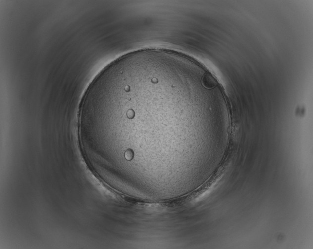 X0000094420903200711211408