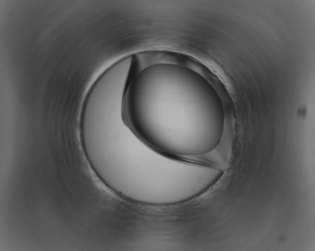 X0000094420904200711211408