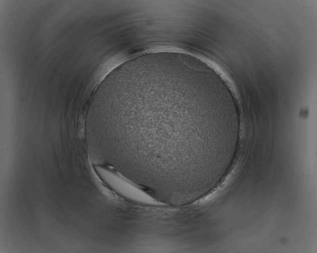 X0000094420905200711211408