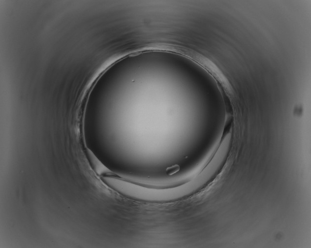 X0000094420908200711211407
