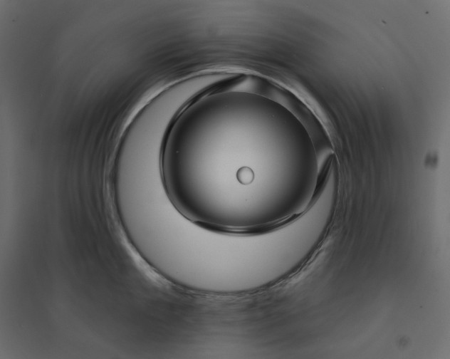 X0000094420909200711211407