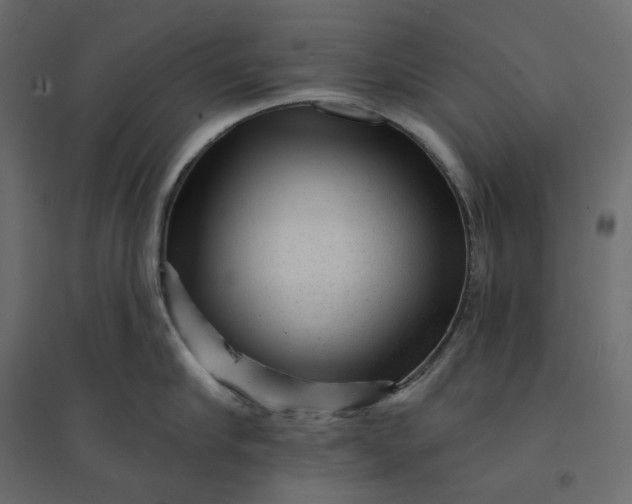 X0000094420910200711211407