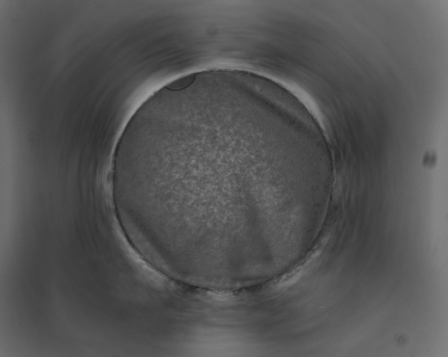 X0000094420911200711211407