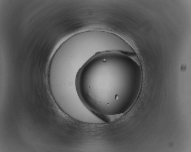 X0000094420912200711211407