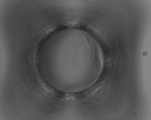 X0000094420913200711211407
