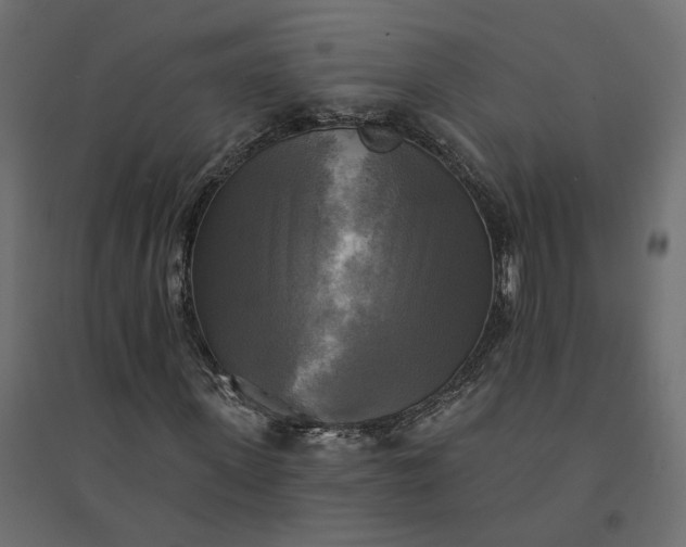 X0000094420915200711211407