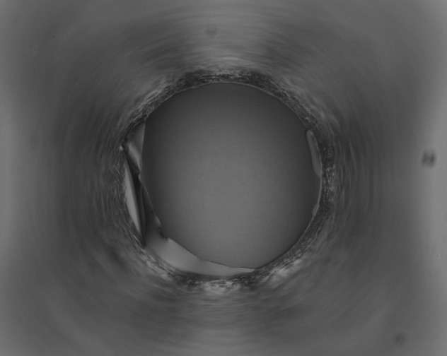X0000094420916200711211407