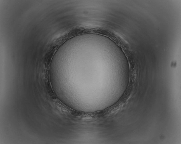 X0000094420917200711211407
