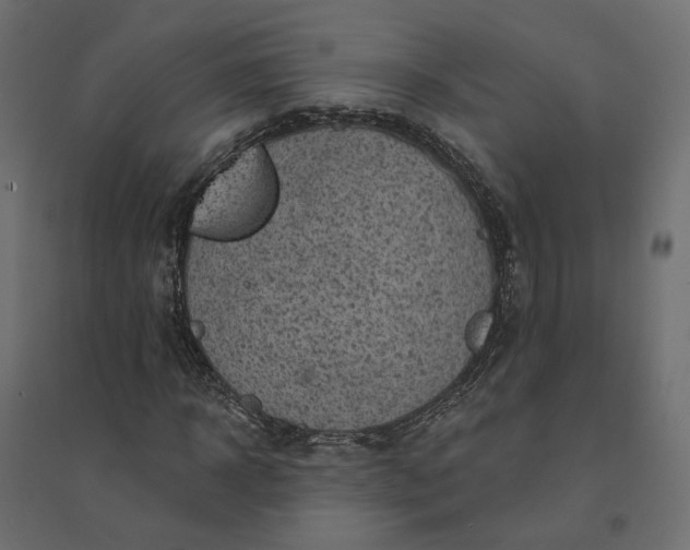 X0000094420918200711211407