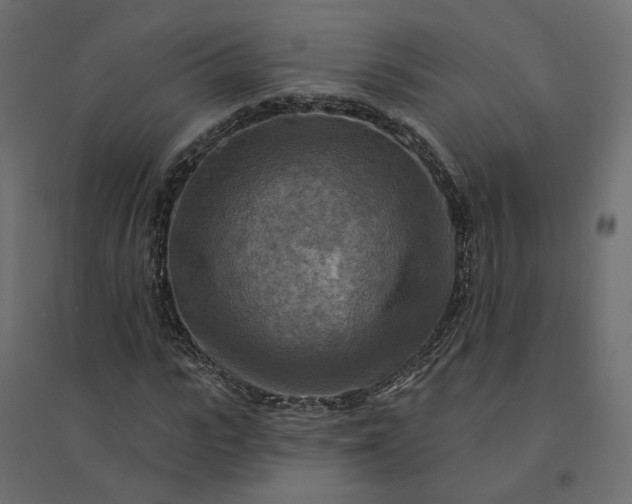 X0000094420919200711211407