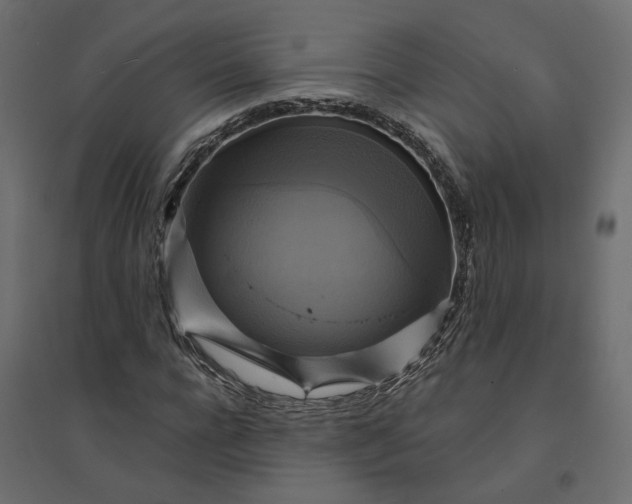 X0000094420920200711211407
