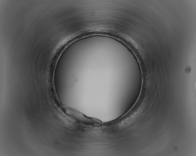 X0000094420922200711211407