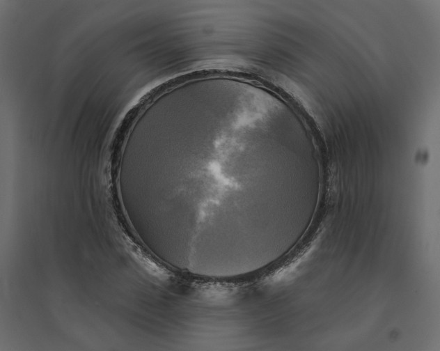 X0000094420923200711211407