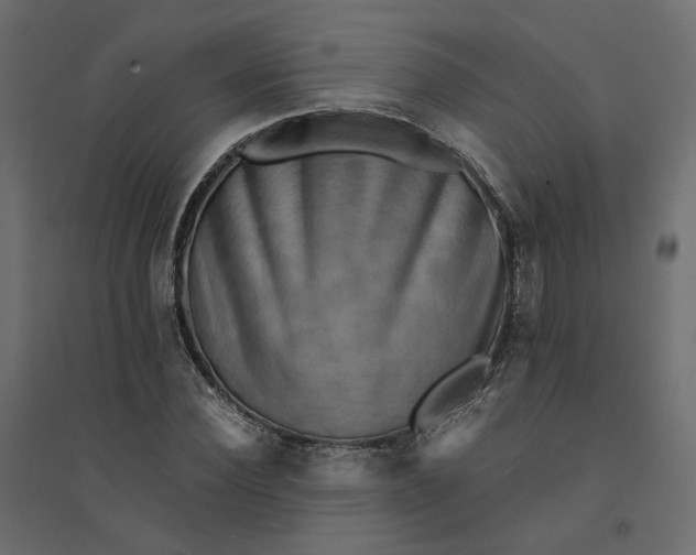 X0000094420924200711211407