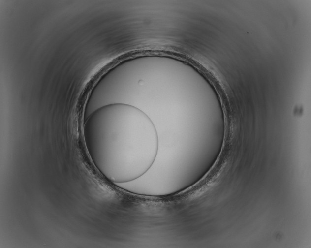 X0000094420925200711211407