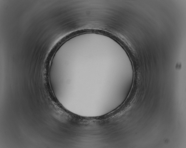 X0000094420926200711211407