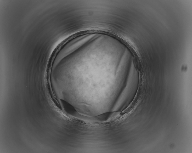 X0000094420928200711211407