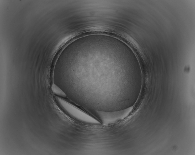 X0000094420930200711211407