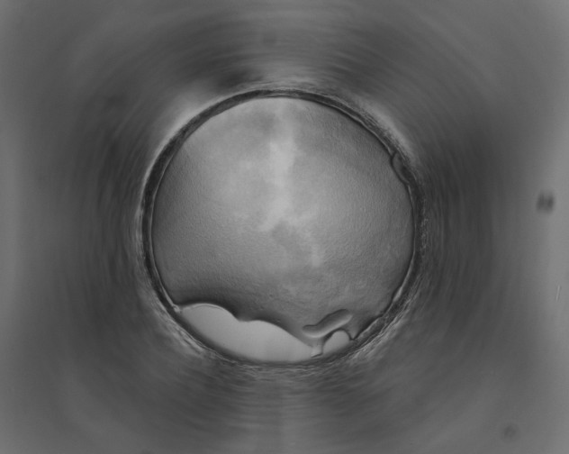X0000094420932200711211407