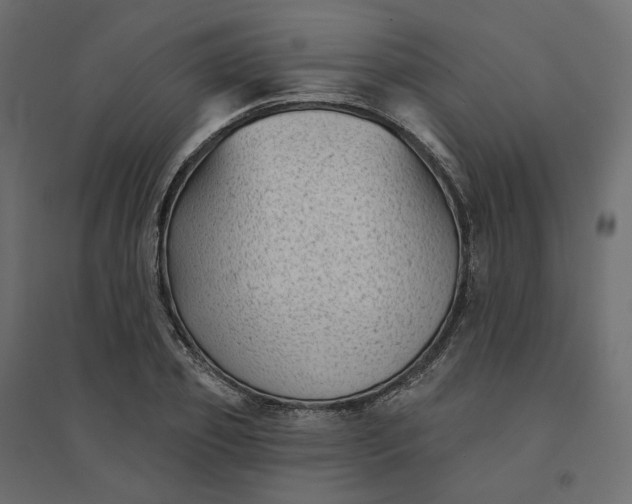 X0000094420933200711211407