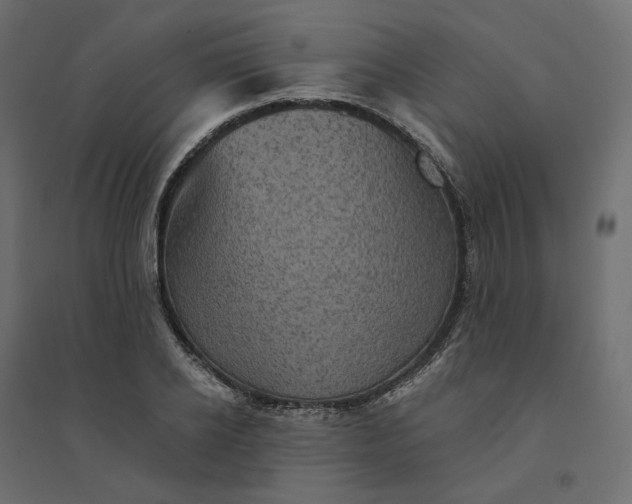 X0000094420934200711211407