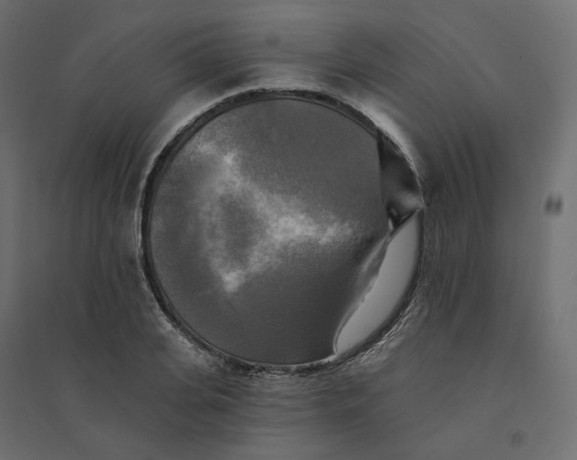 X0000094420935200711211407