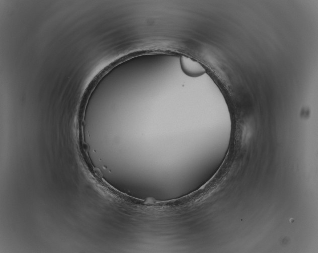 X0000094420936200711211407