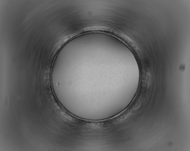 X0000094420937200711211407
