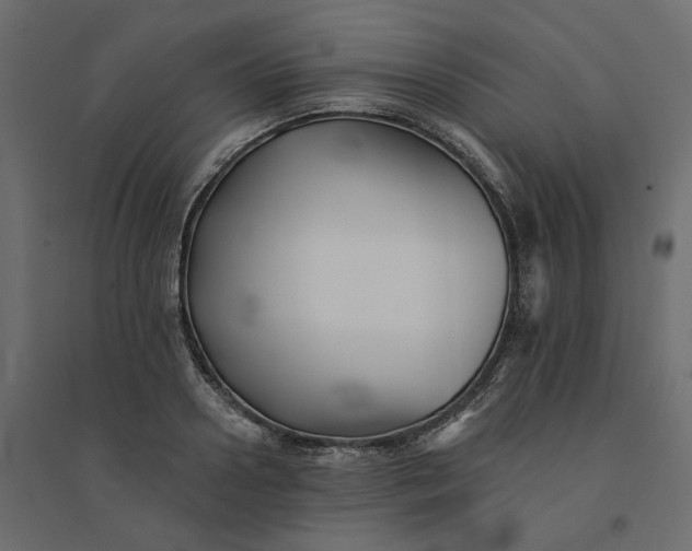 X0000094420938200711211407